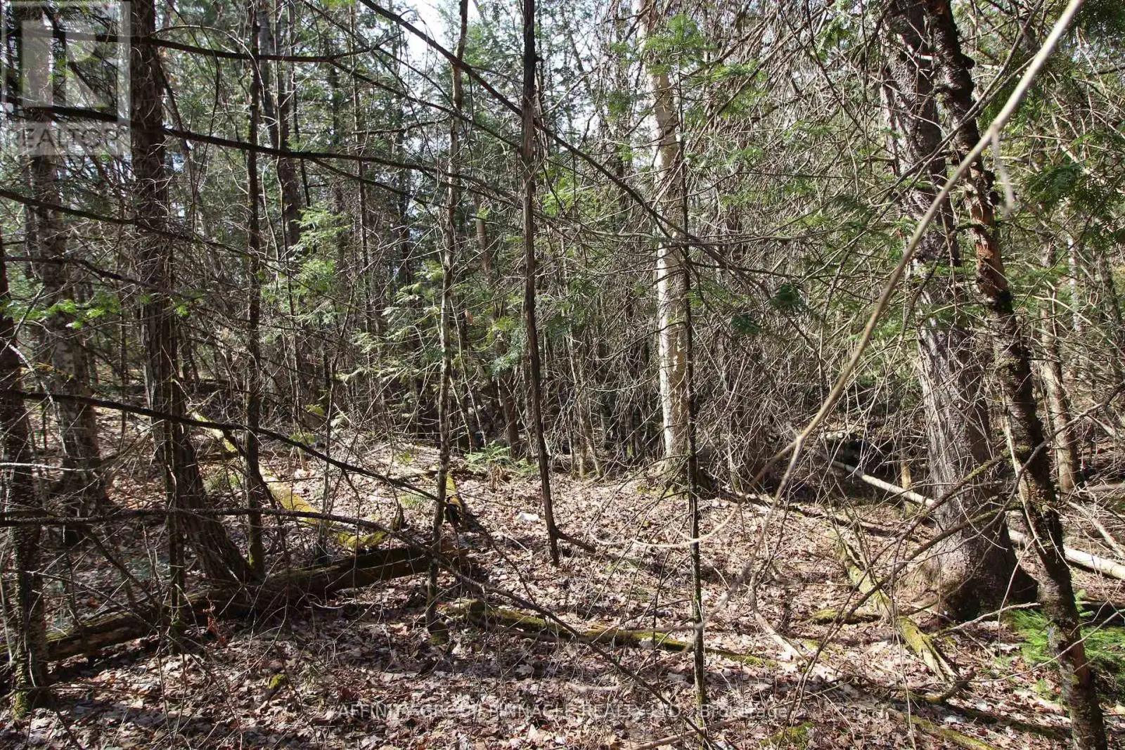 Lot 15 Concession 9, Trent Lakes, Ontario  K0L 1J0 - Photo 3 - X12112195