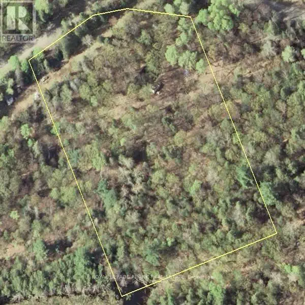 843 Lasswade Road, North Kawartha, Ontario  K0L 1A0 - Photo 3 - X12008493
