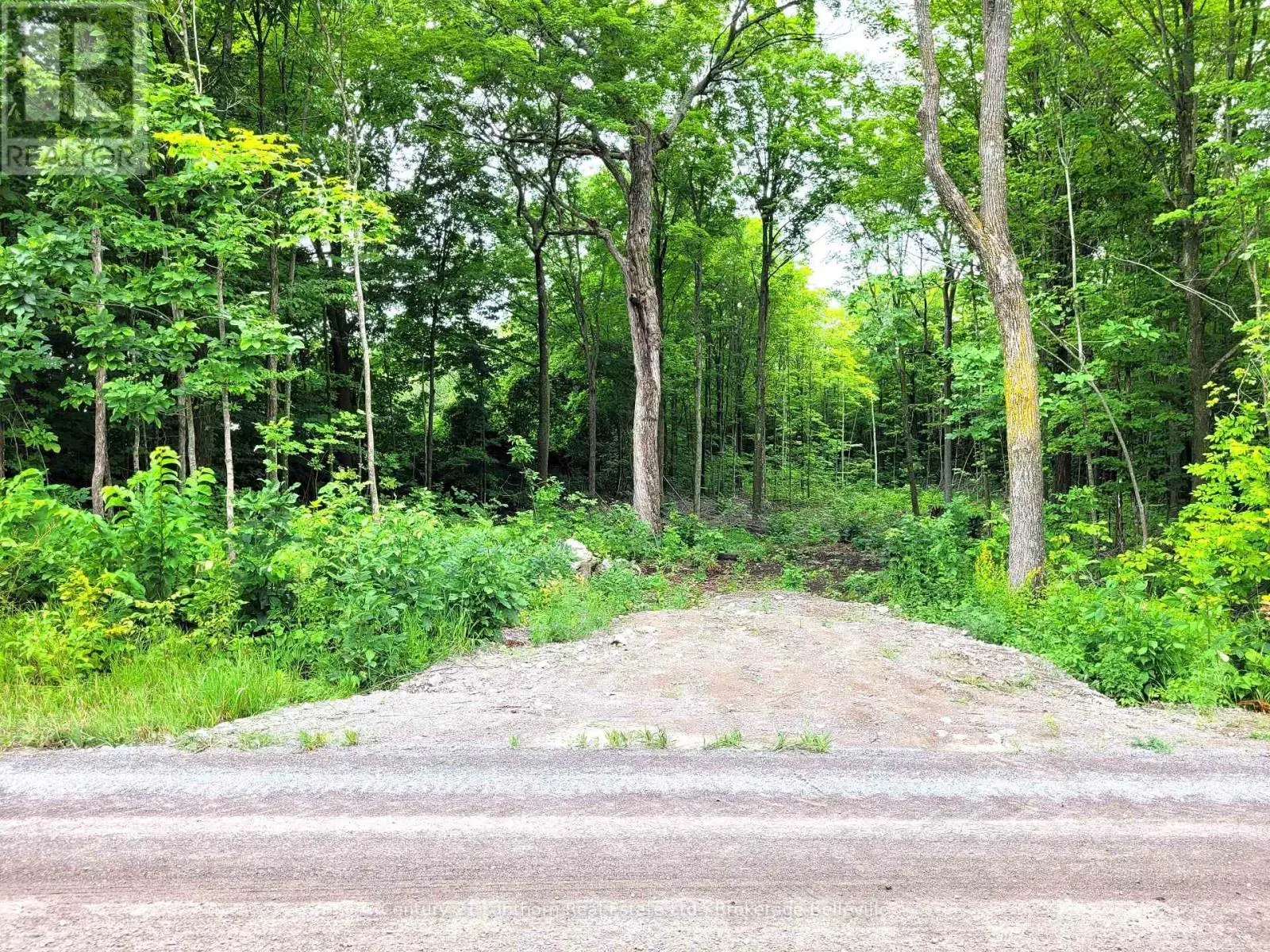 0 Spry Road, Stirling-Rawdon, Ontario  K0K 3E0 - Photo 1 - X12113968