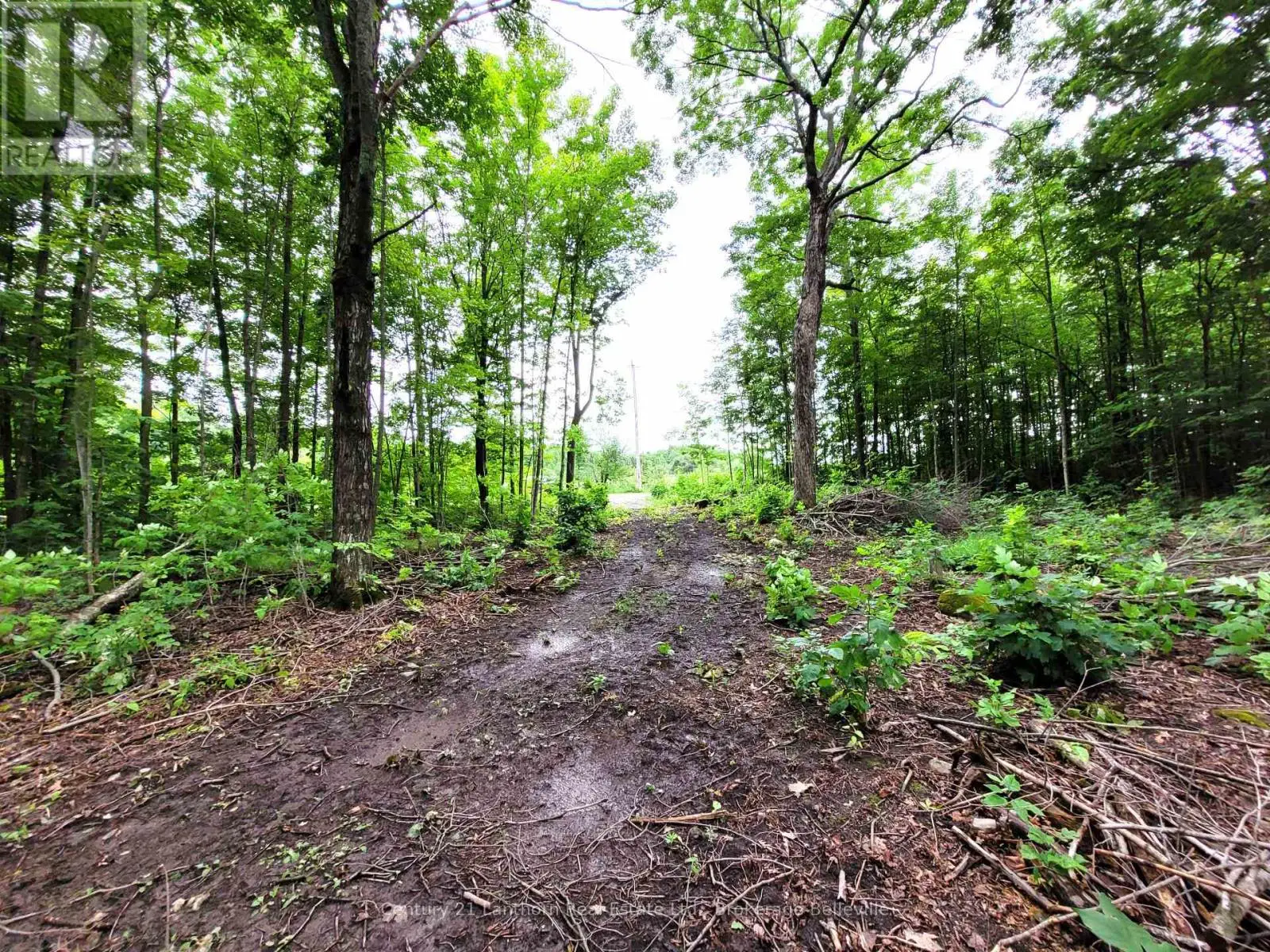 0 Spry Road, Stirling-Rawdon, Ontario  K0K 3E0 - Photo 3 - X12113968