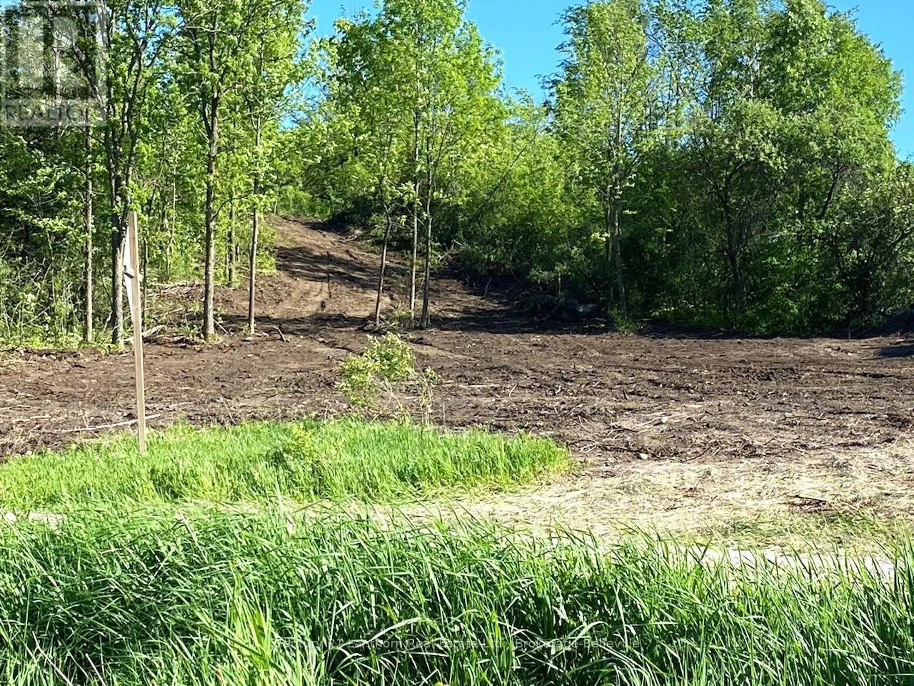 0 Devils Valley Road, Trent Hills, Ontario  K0L 1L0 - Photo 1 - X12114002