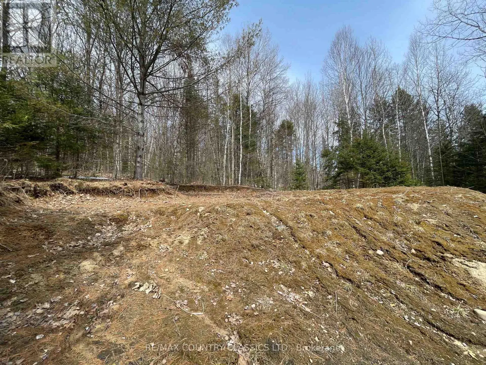 178 Gaebel Road, Bancroft, Ontario  K0L 1C0 - Photo 3 - X12081680