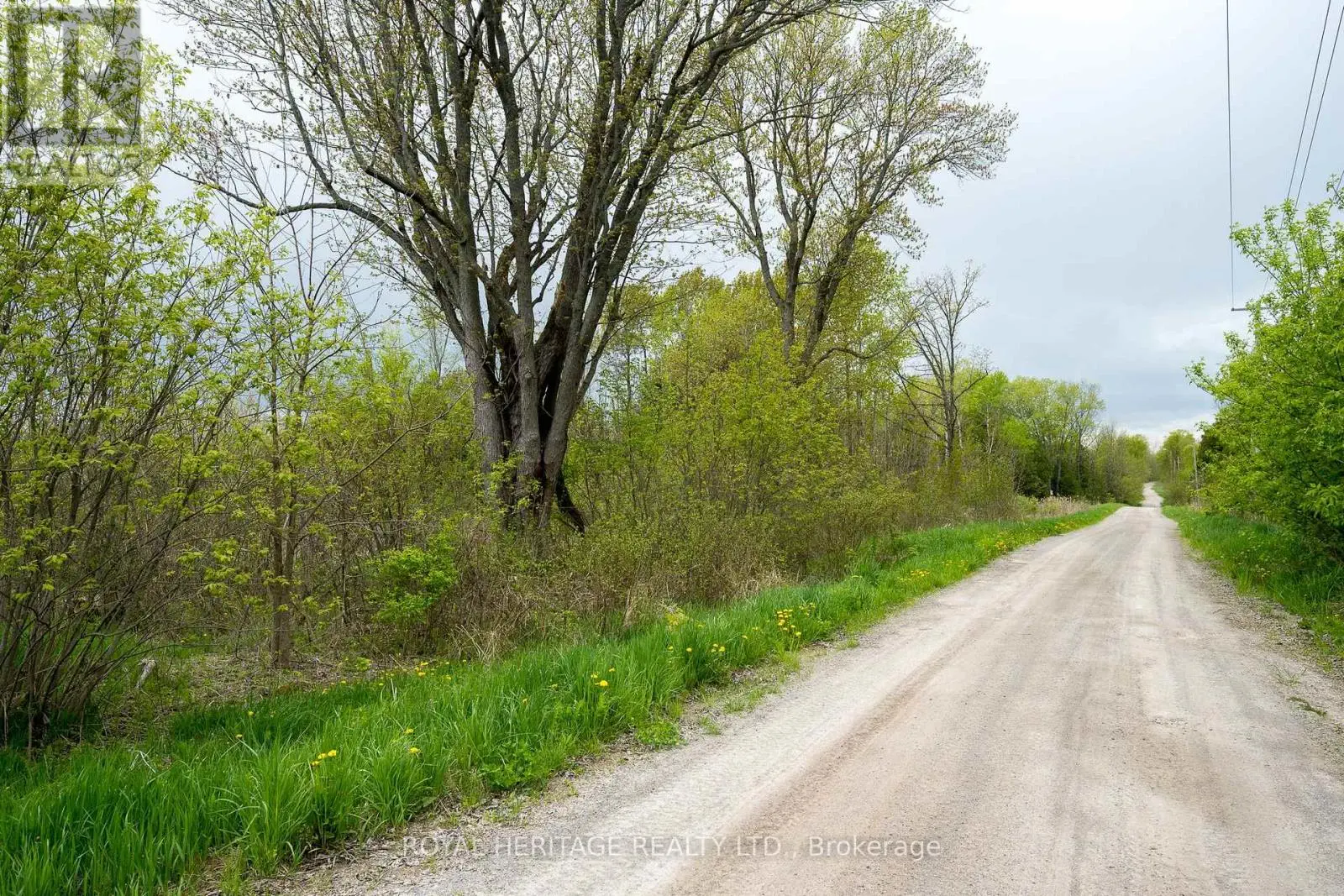 3 Acreman Road, Centre Hastings, Ontario  K0K 2T0 - Photo 2 - X12115127