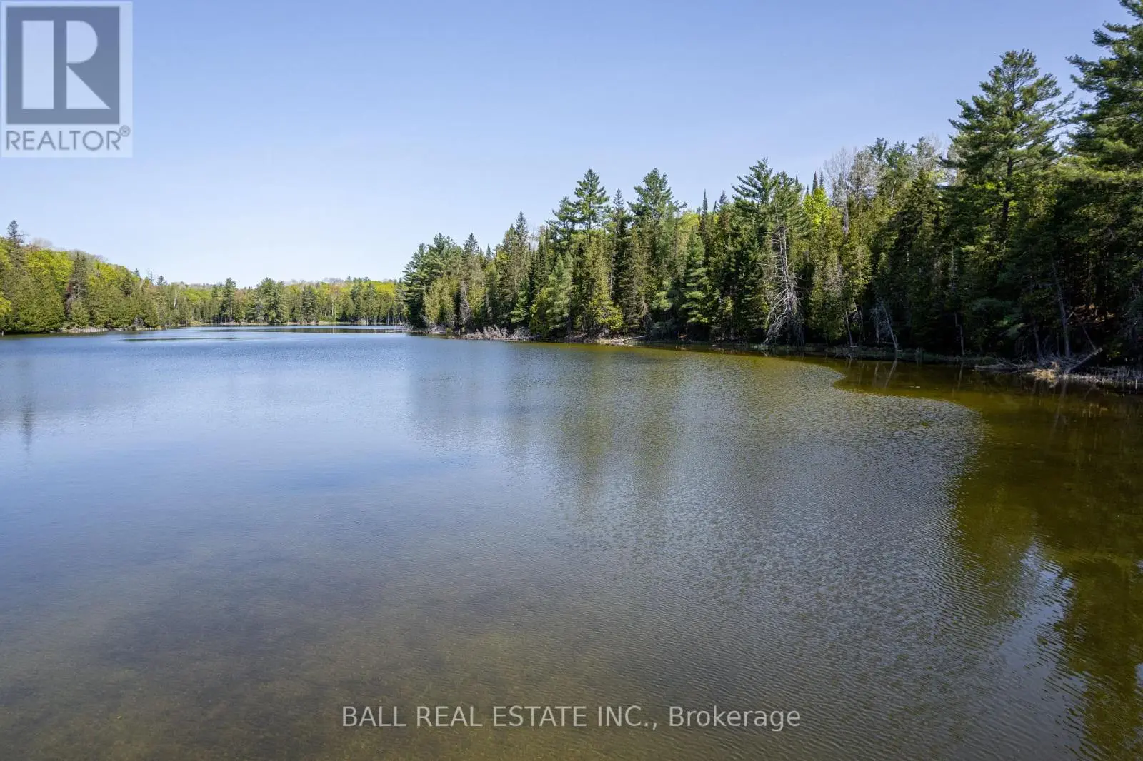 0 Johnson Road, North Kawartha, Ontario  K0L 1A0 - Photo 2 - X12117460