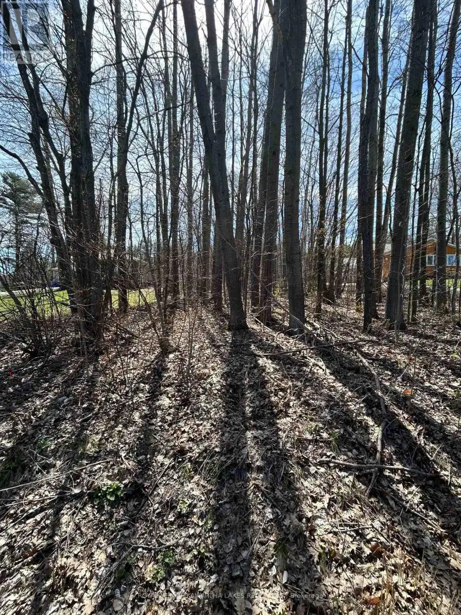 0 Poplar Drive, Hamilton Township, Ontario  K0L 1E0 - Photo 2 - X12122794