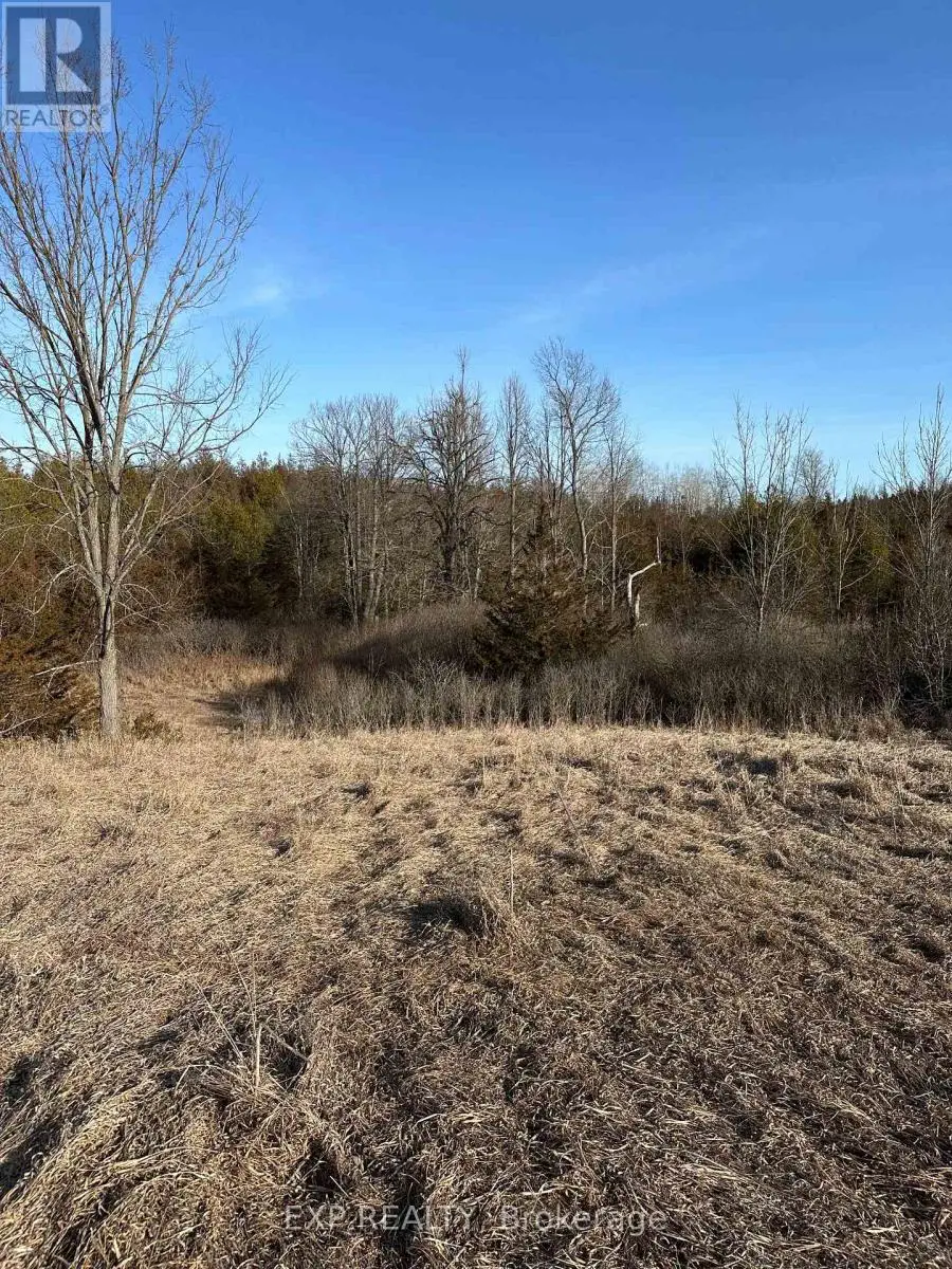 02 Phillips Road, Tyendinaga, Ontario  K0K 3A0 - Photo 3 - X12123521