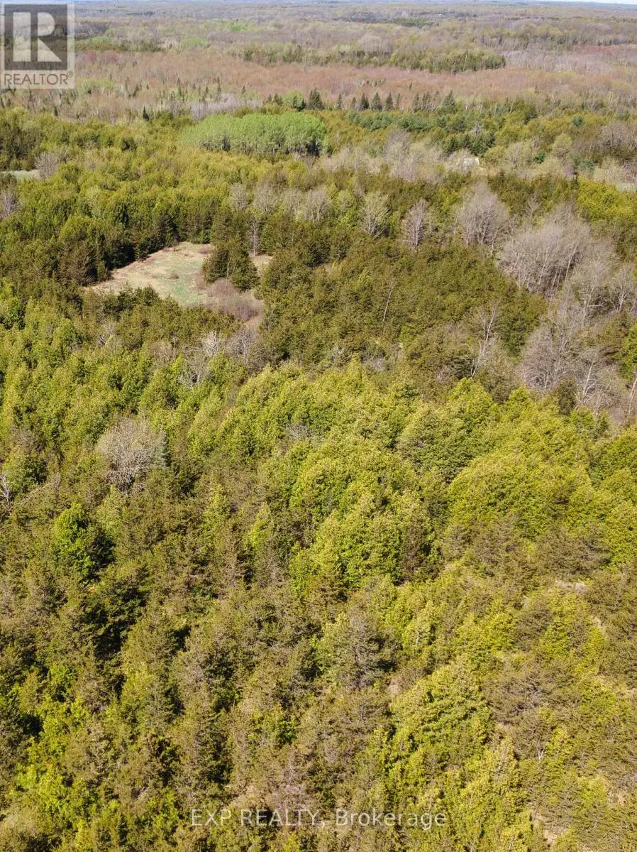 03 Phillips Road, Tyendinaga, Ontario  K0K 3A0 - Photo 3 - X12123601
