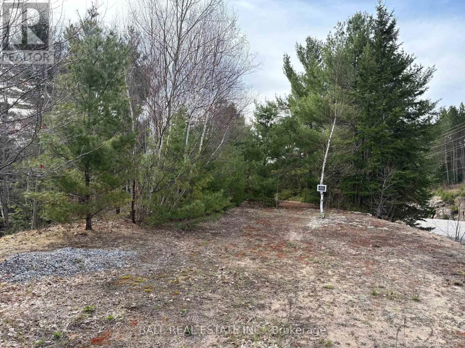 0 Highway 28, Bancroft, Ontario  K0L 1C0 - Photo 3 - X12124642