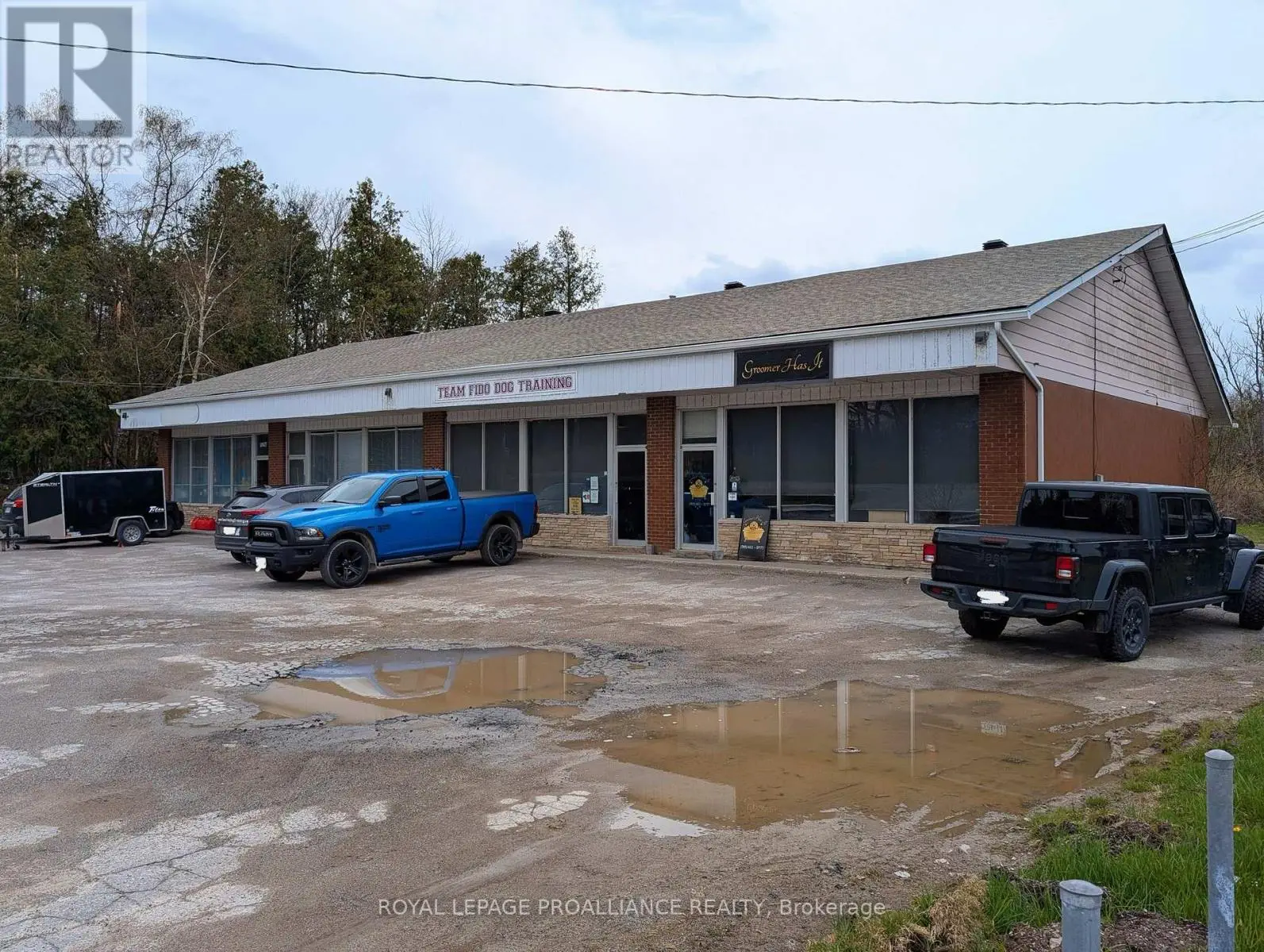 3165 Lakefield Road, Selwyn, Ontario  K0L 2H0 - Photo 3 - X12124841