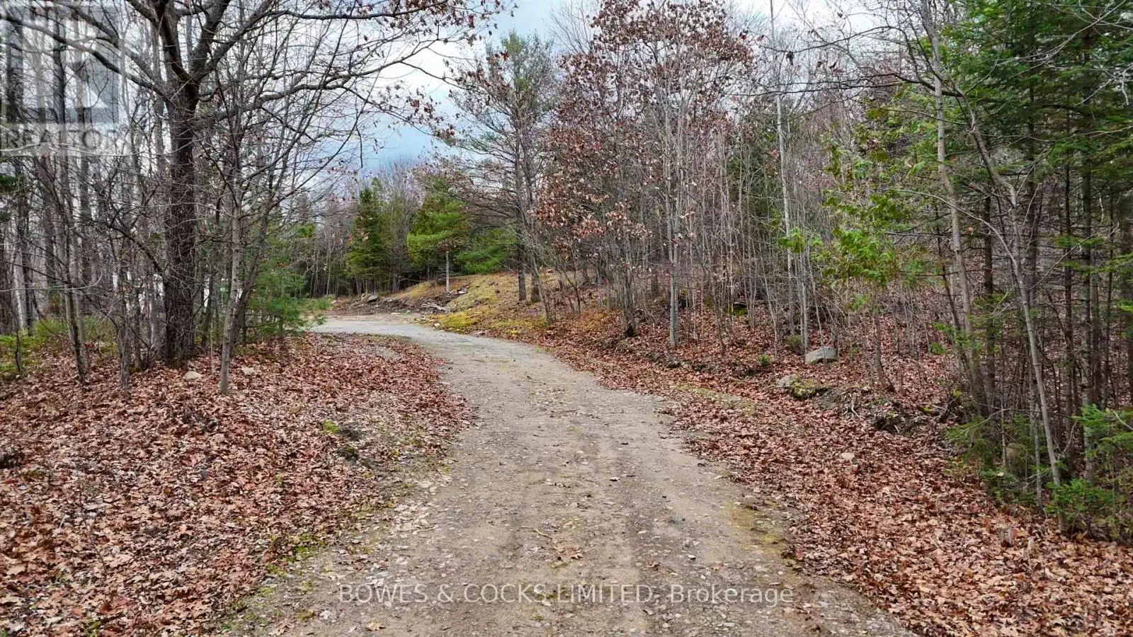 154 Little Ireland Road, Brudenell, Ontario  K0L 2M0 - Photo 2 - X12127411