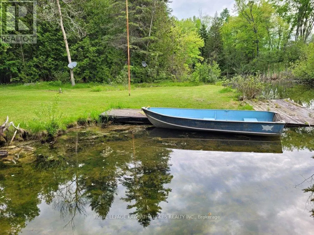 81 Mcguire Beach Road, Kawartha Lakes, Ontario  K0M 2B0 - Photo 1 - X12127841
