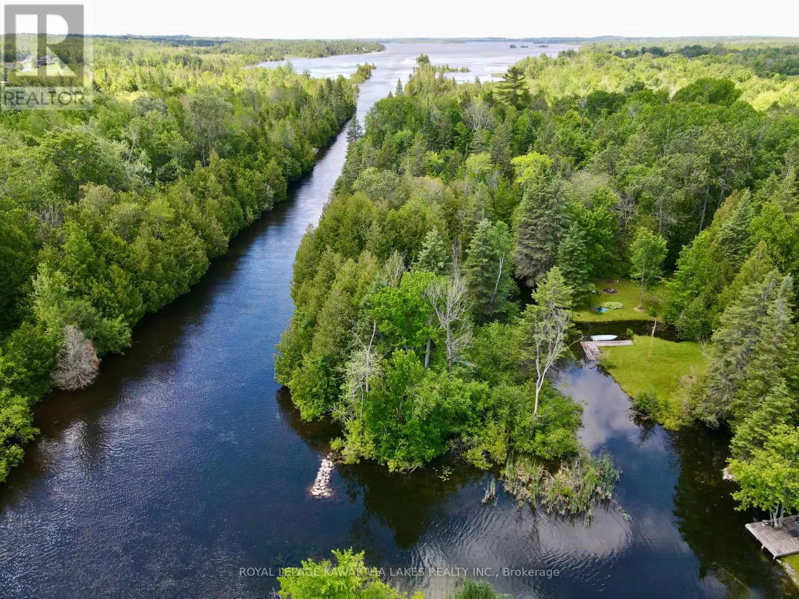 81 Mcguire Beach Road, Kawartha Lakes, Ontario  K0M 2B0 - Photo 2 - X12127841