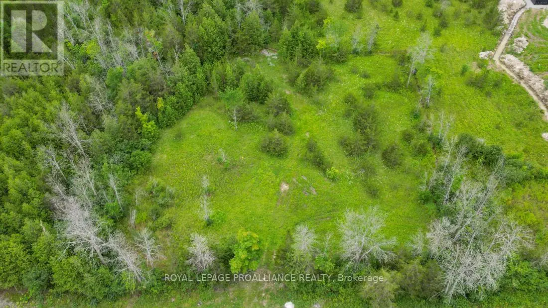 0 Weese Road, Tyendinaga, Ontario  K0K 3A0 - Photo 3 - X12131791