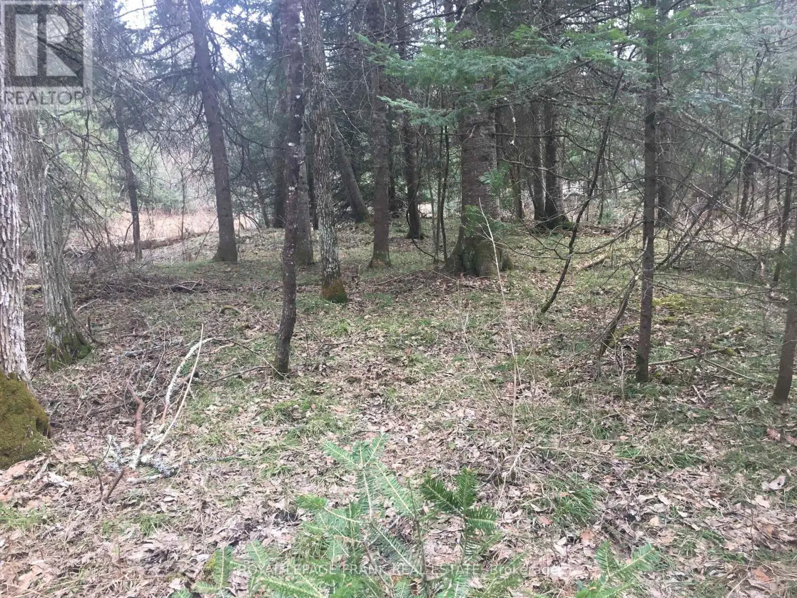 0 Pt Lt 13 Con 8 Road, Wollaston, Ontario  K0L 1A0 - Photo 2 - X12131915