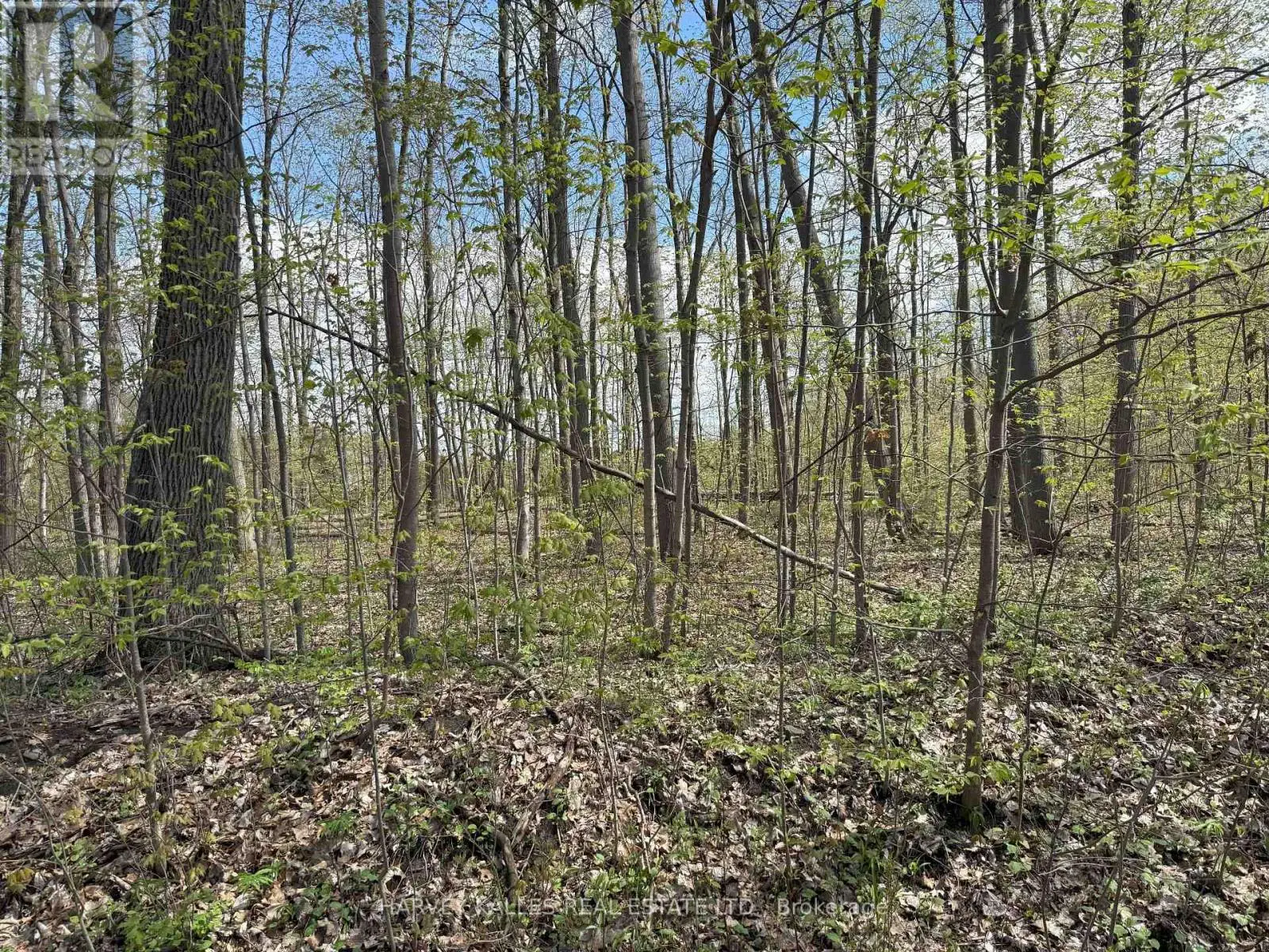 0 Oakwood Lane, Greater Napanee, Ontario  K0H 1G0 - Photo 2 - X12133001