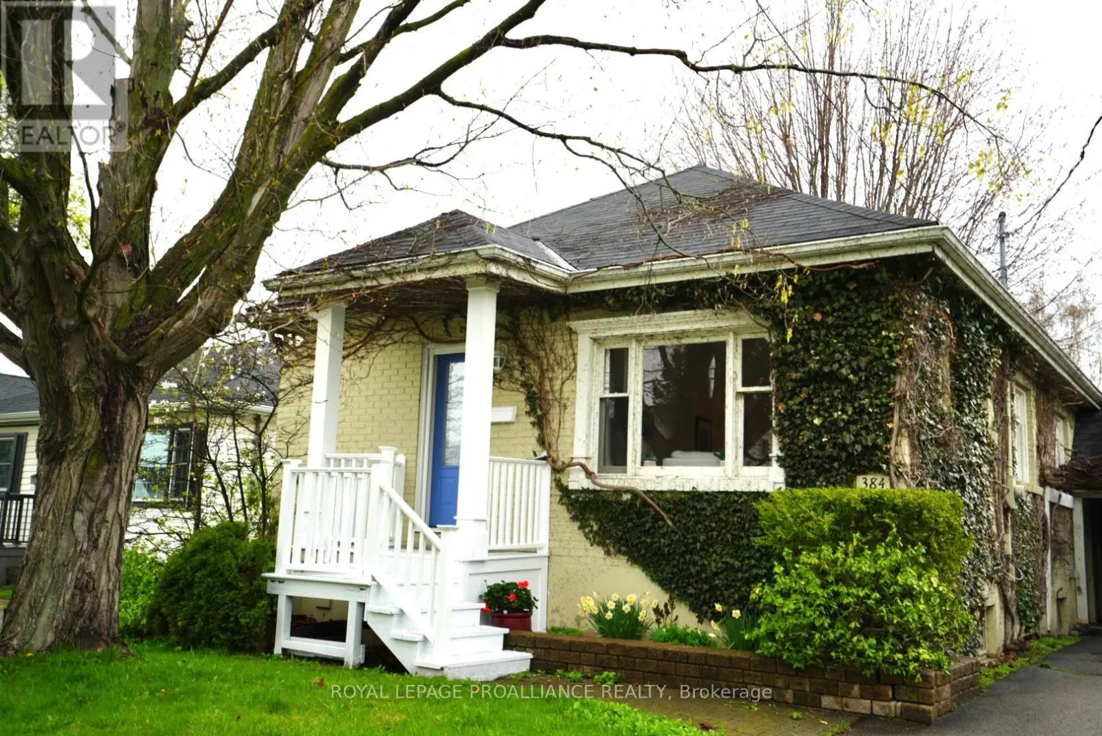 384 D'arcy Street, Cobourg, Ontario  K9A 4A5 - Photo 1 - X12133231