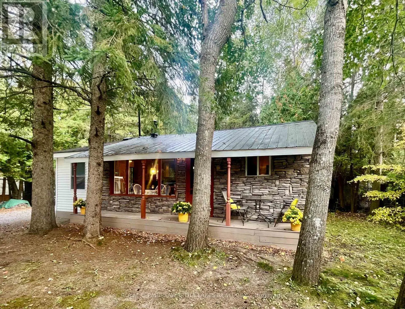 81 Mcguire Beach Road, Kawartha Lakes, Ontario  K0M 2B0 - Photo 3 - X12127841
