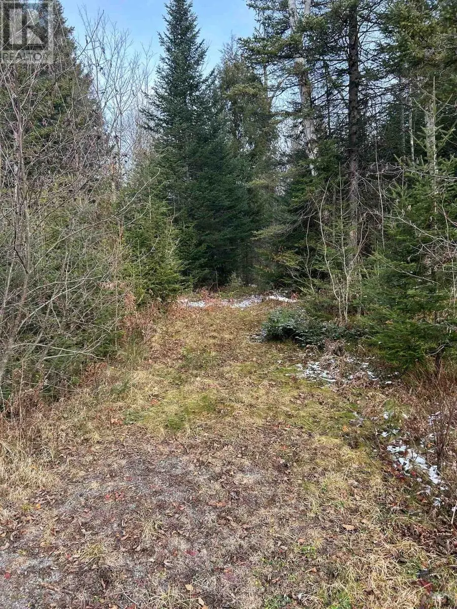 0 Madawaska Road, Hastings Highlands, Ontario  K0L 2S0 - Photo 1 - X12133954