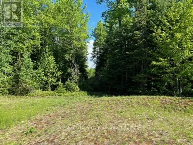 Lot 27 Bancroft Ridge Drive, Bancroft, Ontario  K0L 1C0 - Photo 3 - X12134432