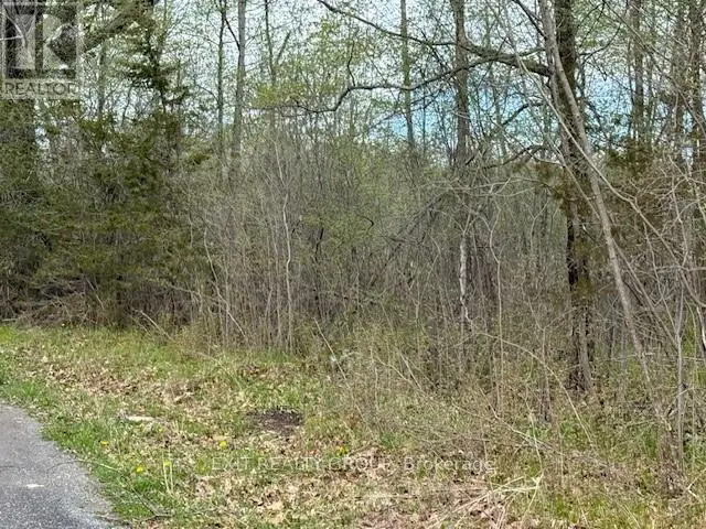 Pt Lt 8 Con 10 Road, Trent Hills, Ontario  K0K 3M0 - Photo 2 - X12135202
