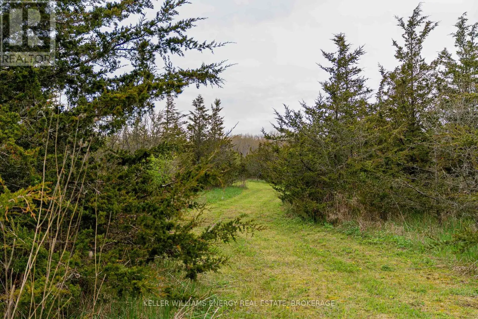 242 Kelly Road, Prince Edward County, Ontario  K0K 1P0 - Photo 1 - X12136173