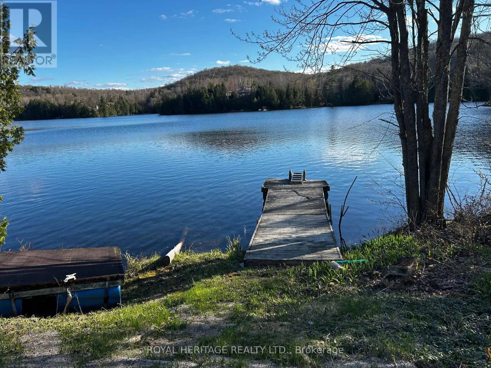 256 Trout Lake Road, Faraday, Ontario  K0L 1C0 - Photo 3 - X12014415