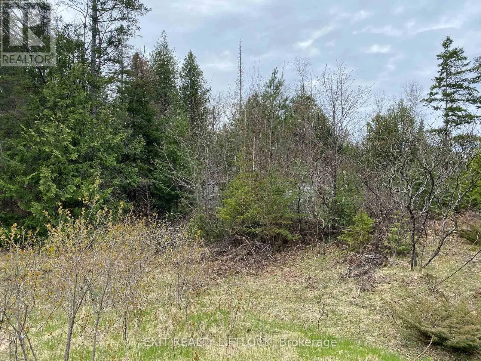 3458 Old Hastings Road, Wollaston, Ontario  K0L 1P0 - Photo 2 - X12136514