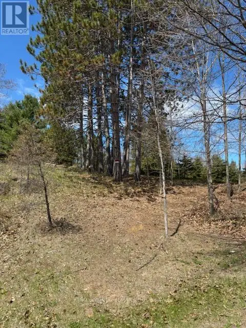 26686 Highway 62 S, Bancroft, Ontario  K0L 1C0 - Photo 1 - X12136726