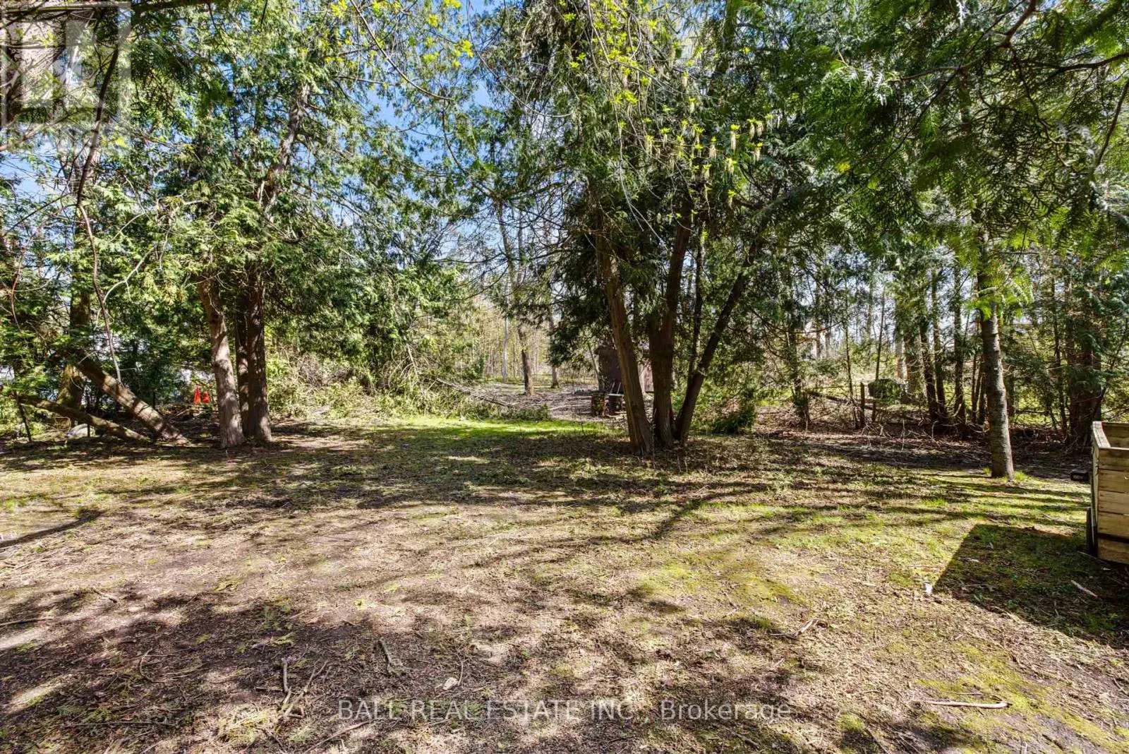 53 Rustic Bay Street, Kawartha Lakes, Ontario  K9V 4R6 - Photo 3 - X12136823