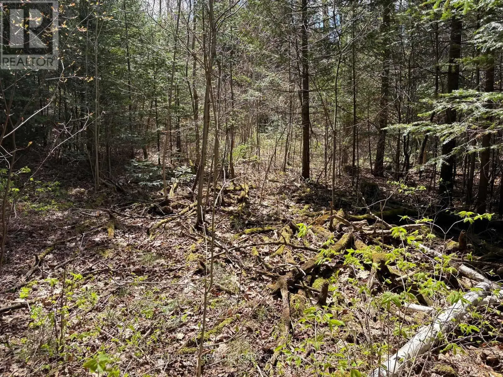 00 Monck Road, Faraday, Ontario  K0L 1C0 - Photo 1 - X12138039