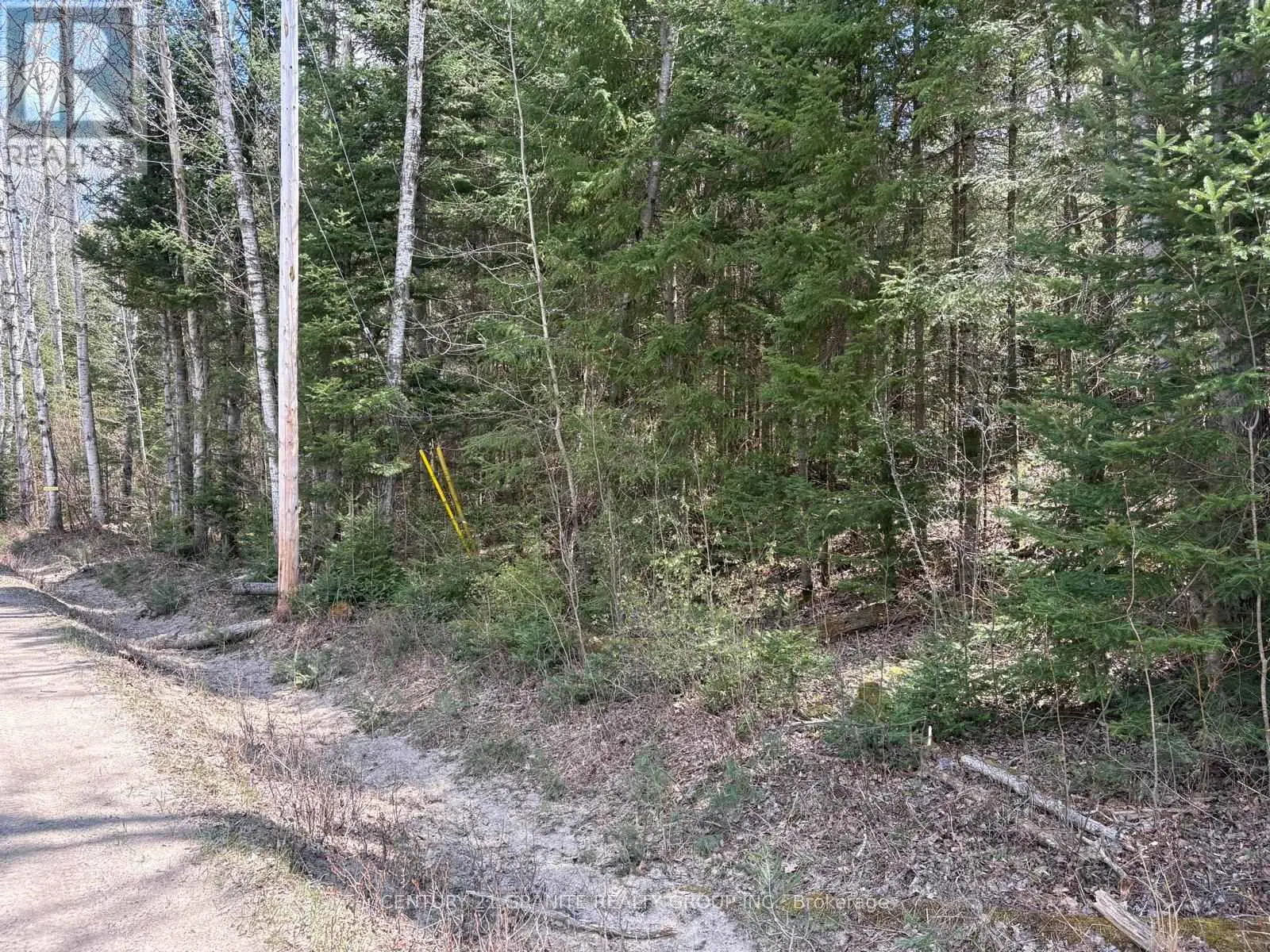00 Monck Road, Faraday, Ontario  K0L 1C0 - Photo 2 - X12138039