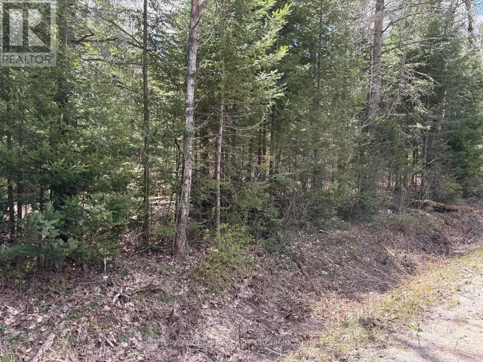 01 Monck Road, Faraday, Ontario  K0L 1C0 - Photo 2 - X12138132