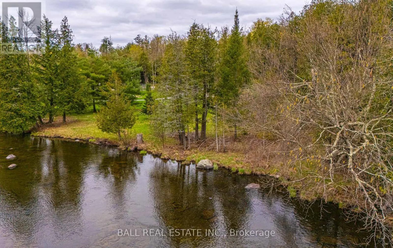 513 Sawmill Road, Douro-Dummer, Ontario  K0L 2H0 - Photo 3 - X12138523