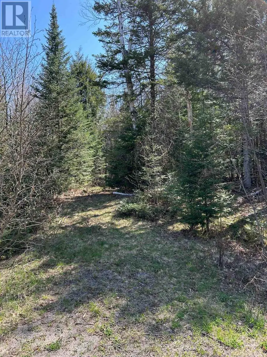 0 Madawaska Road, Hastings Highlands, Ontario  K0L 2S0 - Photo 1 - X12133954