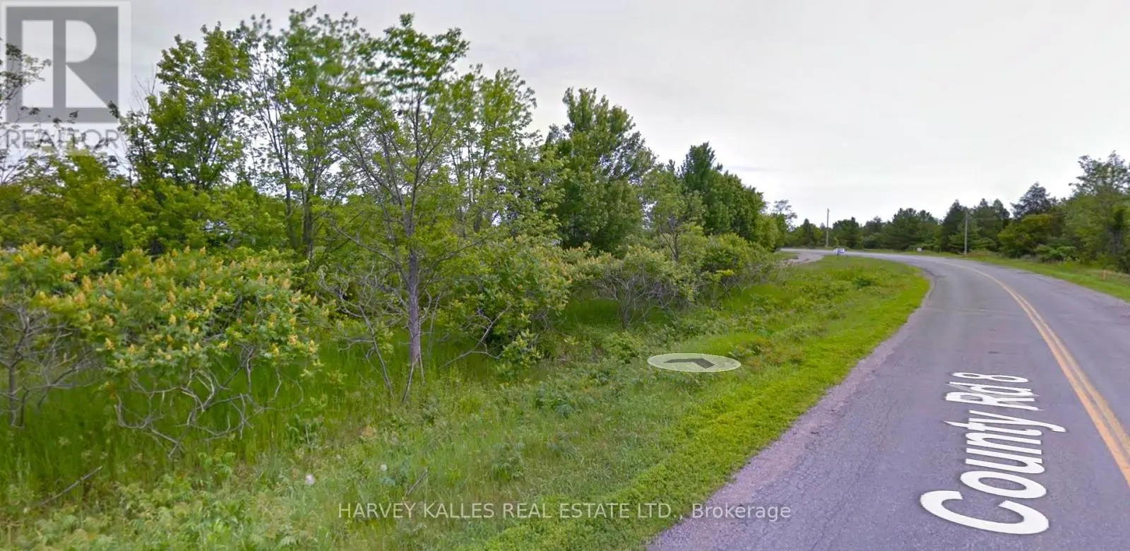 3843 County Rd 8 Road, Prince Edward County, Ontario  K0K 2T0 - Photo 2 - X11940842