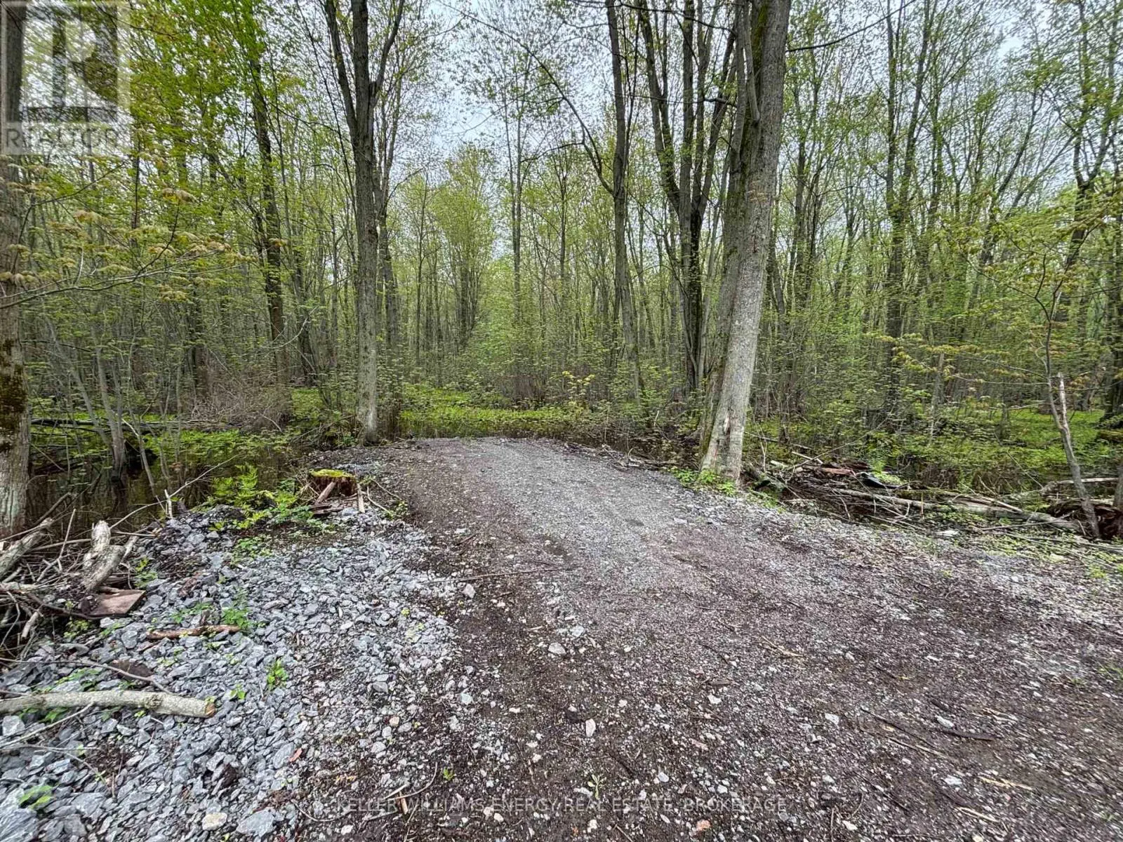 Pt Lt 53-54 Con 2, Prince Edward County, Ontario  K0K 2T0 - Photo 3 - X12142587