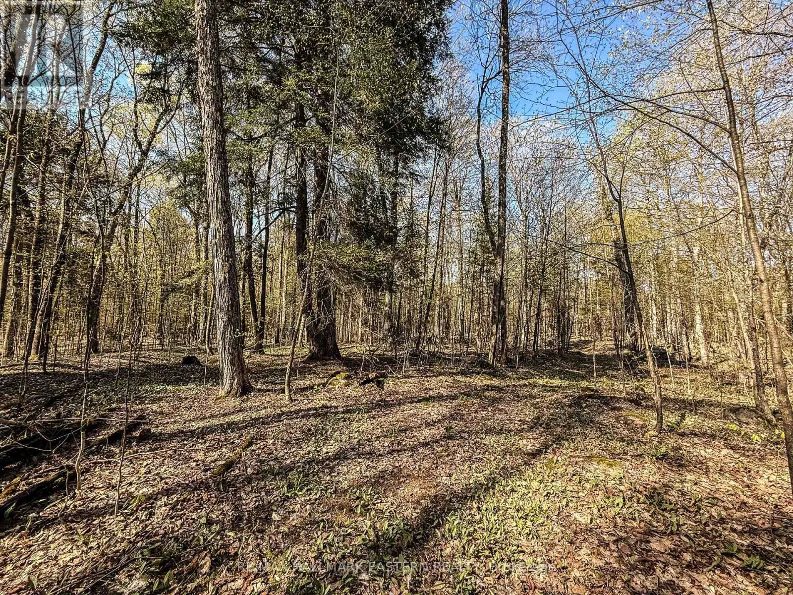 2494 Hadlington Road, Highlands East, Ontario  K0L 3K0 - Photo 2 - X12146596
