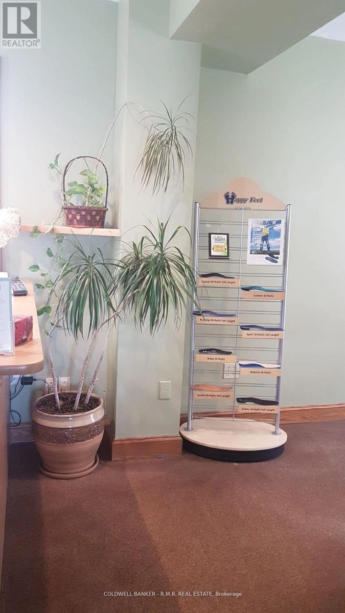 231 King Street E, Oshawa, Ontario  L1H 1C5 - Photo 6 - E12147942