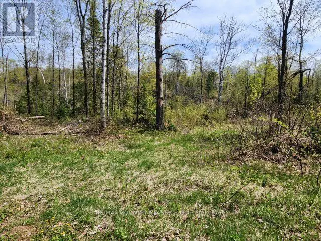 2910 Weslemkoon Lake Road, Tudor & Cashel, Ontario  K0L 1W0 - Photo 2 - X12148524