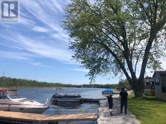 Cv082 - 657 Thunder Bridge Road, Kawartha Lakes, Ontario  K9V 4R1 - Photo 3 - X12093110