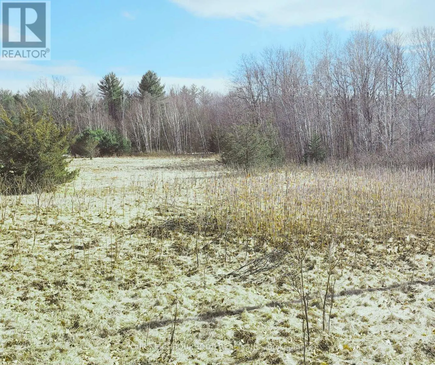 Lot 14 Trent River Road E, Trent Hills, Ontario  K0L 1Z0 - Photo 1 - X12149522