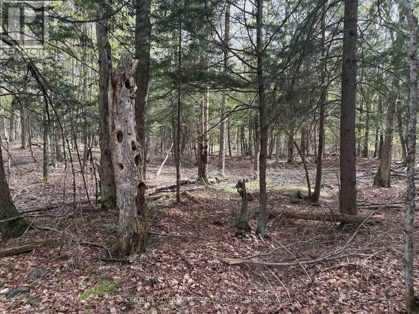 0 Felbers Road, Tudor & Cashel, Ontario  K0L 1C0 - Photo 2 - X12151198