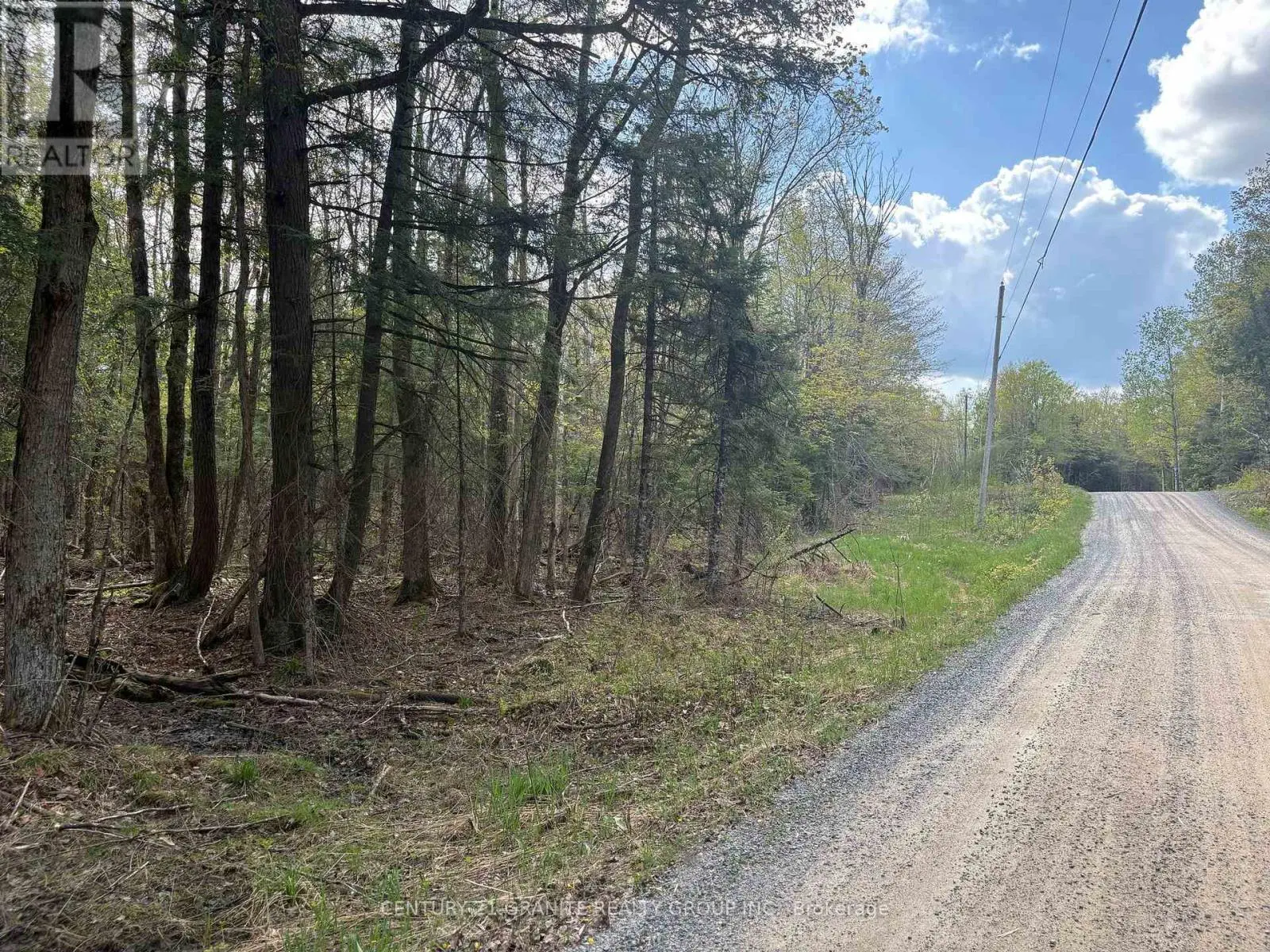 0 Felbers Road, Tudor & Cashel, Ontario  K0L 1C0 - Photo 3 - X12151198