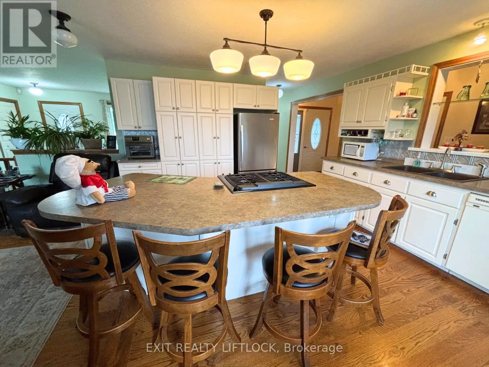 890 Stewart Line, Cavan Monaghan, Ontario  L0A 1C0 - Photo 3 - X12150944