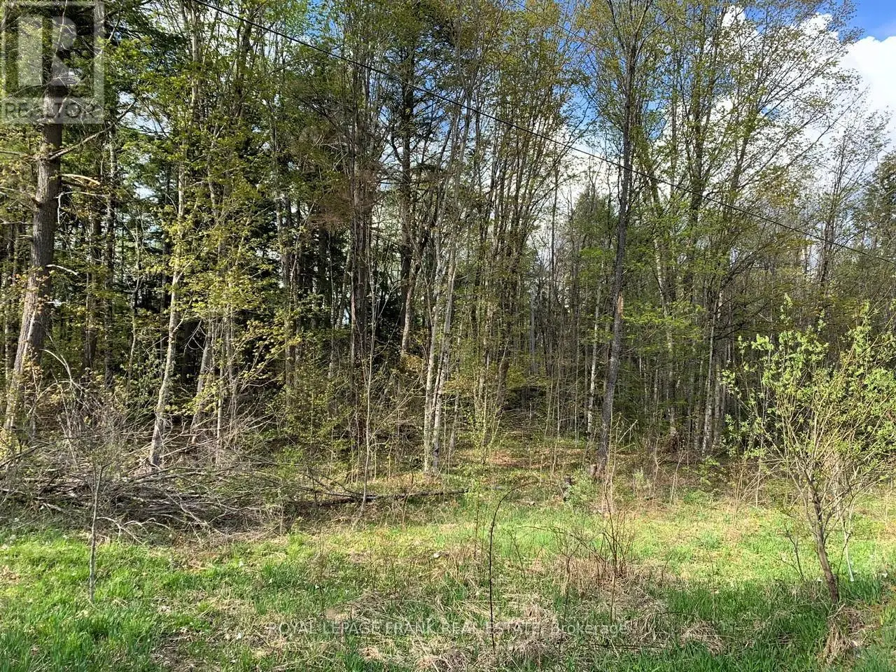 0 Red Oak Trail, Marmora And Lake, Ontario  K0L 1W0 - Photo 3 - X12151864