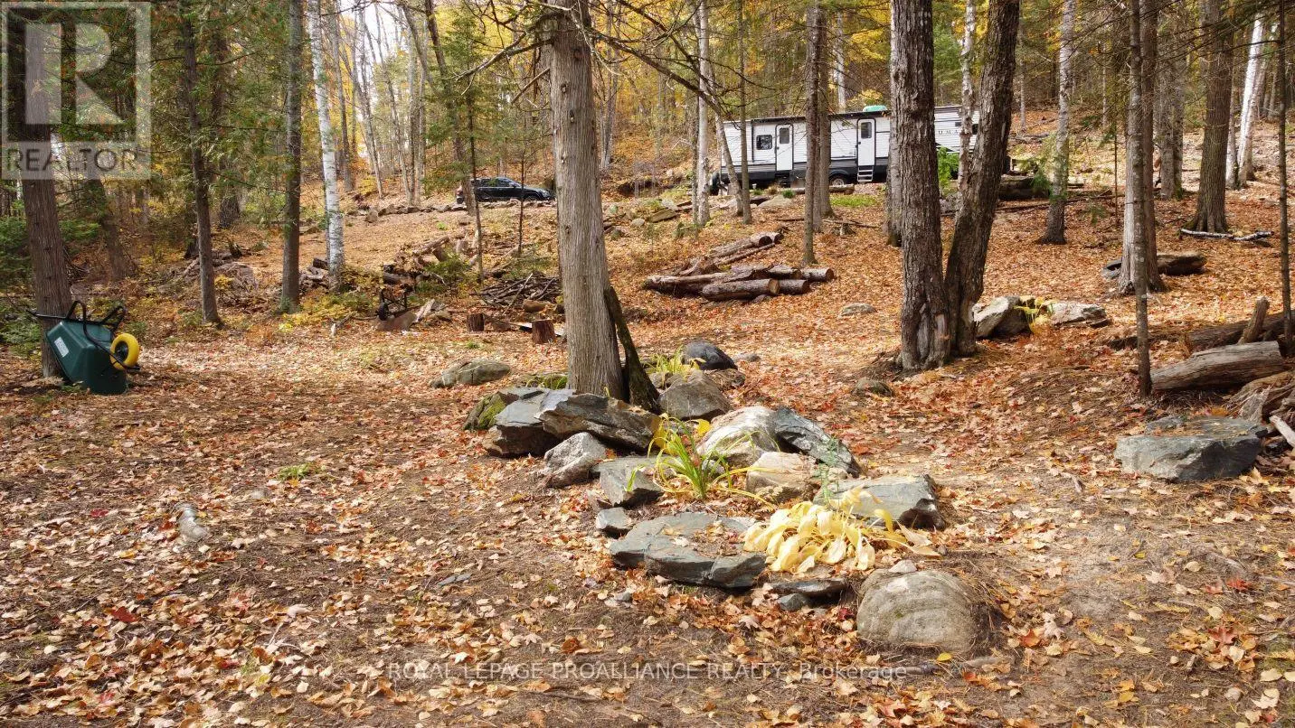 22202 Highway 41, Addington Highlands, Ontario  K0H 1L0 - Photo 1 - X12151991