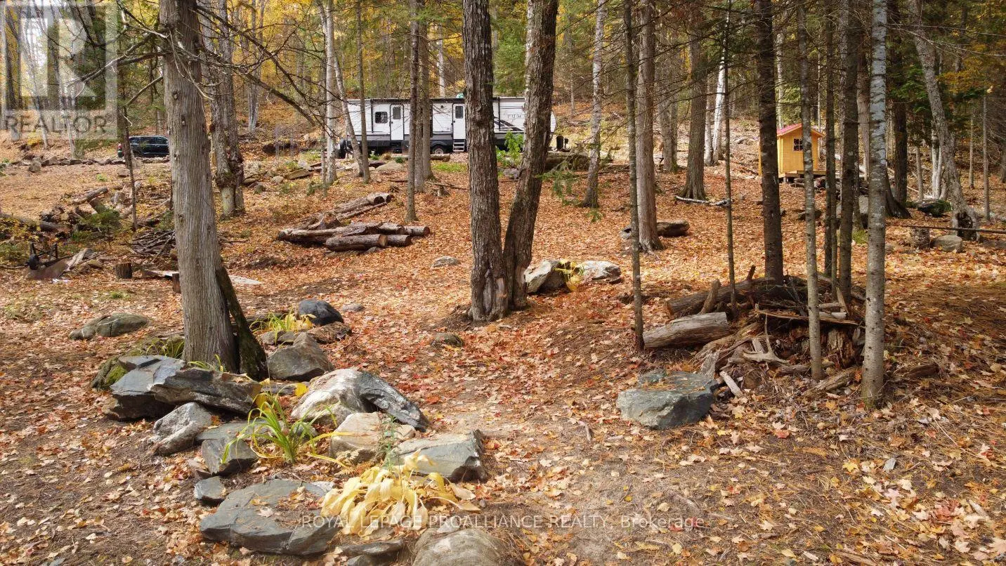 22202 Highway 41, Addington Highlands, Ontario  K0H 1L0 - Photo 2 - X12151991