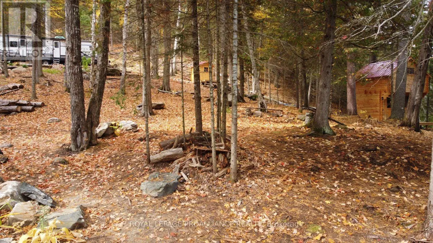 22202 Highway 41, Addington Highlands, Ontario  K0H 1L0 - Photo 3 - X12151991