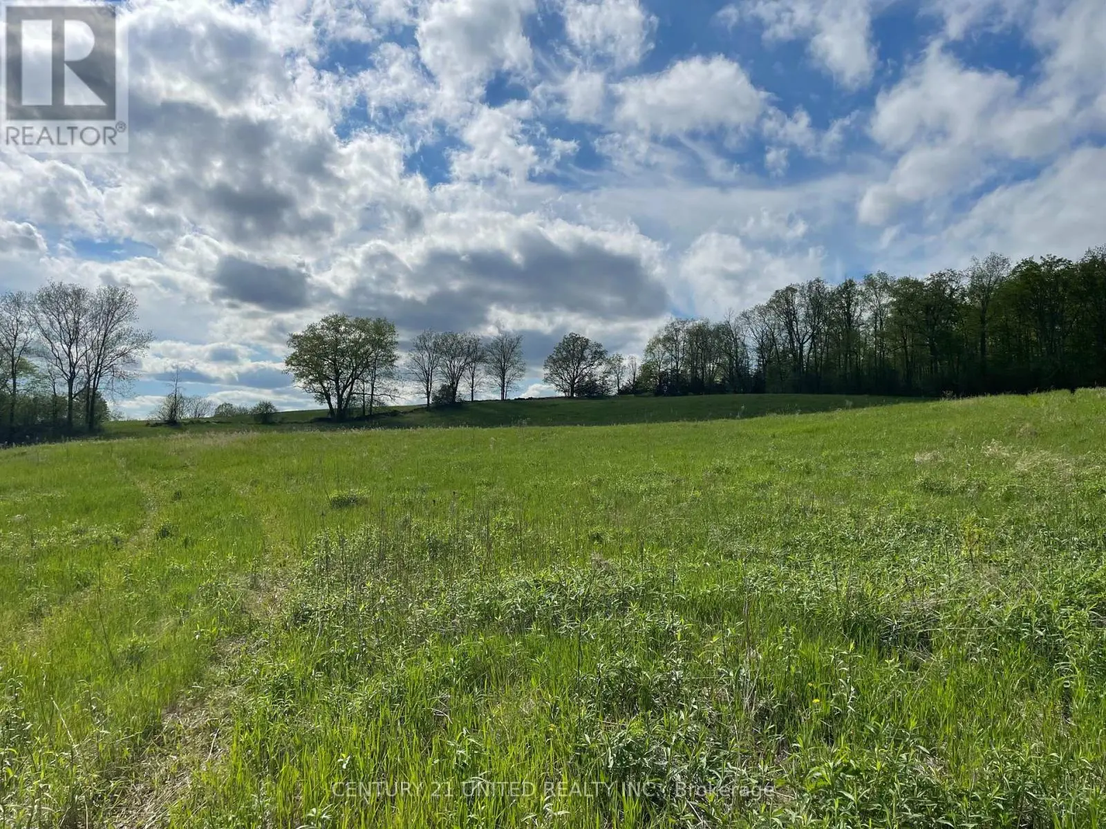 00 Hickory Bay Road, Trent Hills, Ontario  K0L 1L0 - Photo 3 - X12153599