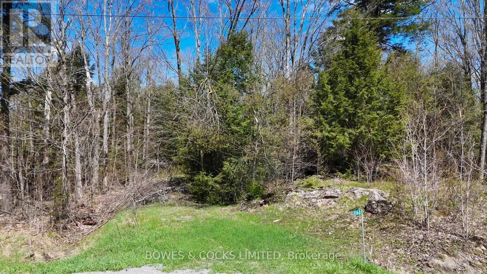 1160 Balmer Road, North Kawartha, Ontario  K0L 1A0 - Photo 2 - X12153763